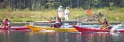 Dolphin Kayaks